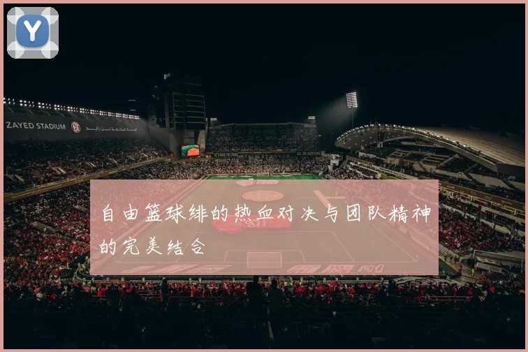 自由篮球绯的热血对决与团队精神的完美结合