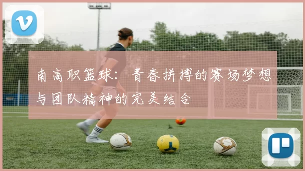 南高职篮球：青春拼搏的赛场梦想与团队精神的完美结合