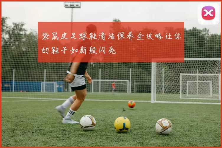 袋鼠皮足球鞋清洁保养全攻略让你的鞋子如新般闪亮