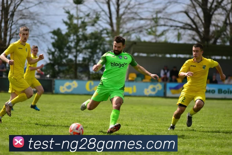 南宫28平台生态图